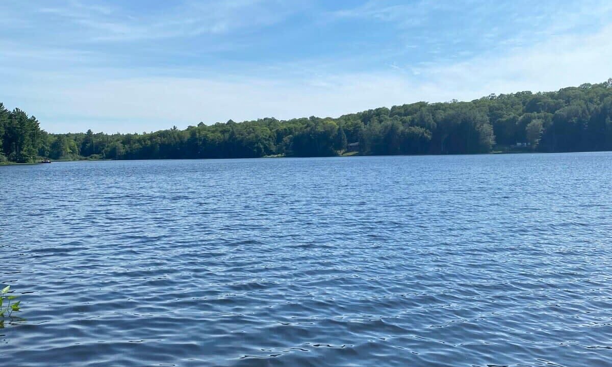 Photo of Others in Port Carling