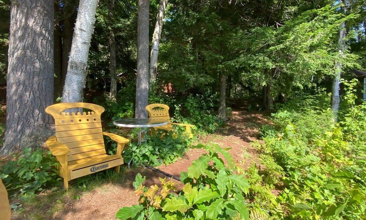 Photo of Outdoor in Port Carling