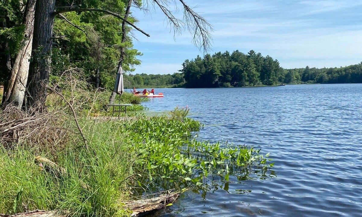 Photo of Outdoor in Port Carling