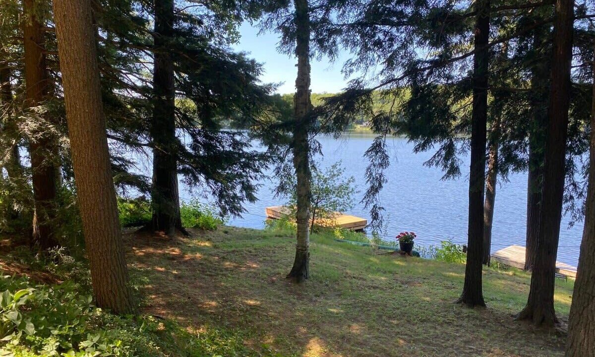 Photo of Others in Port Carling