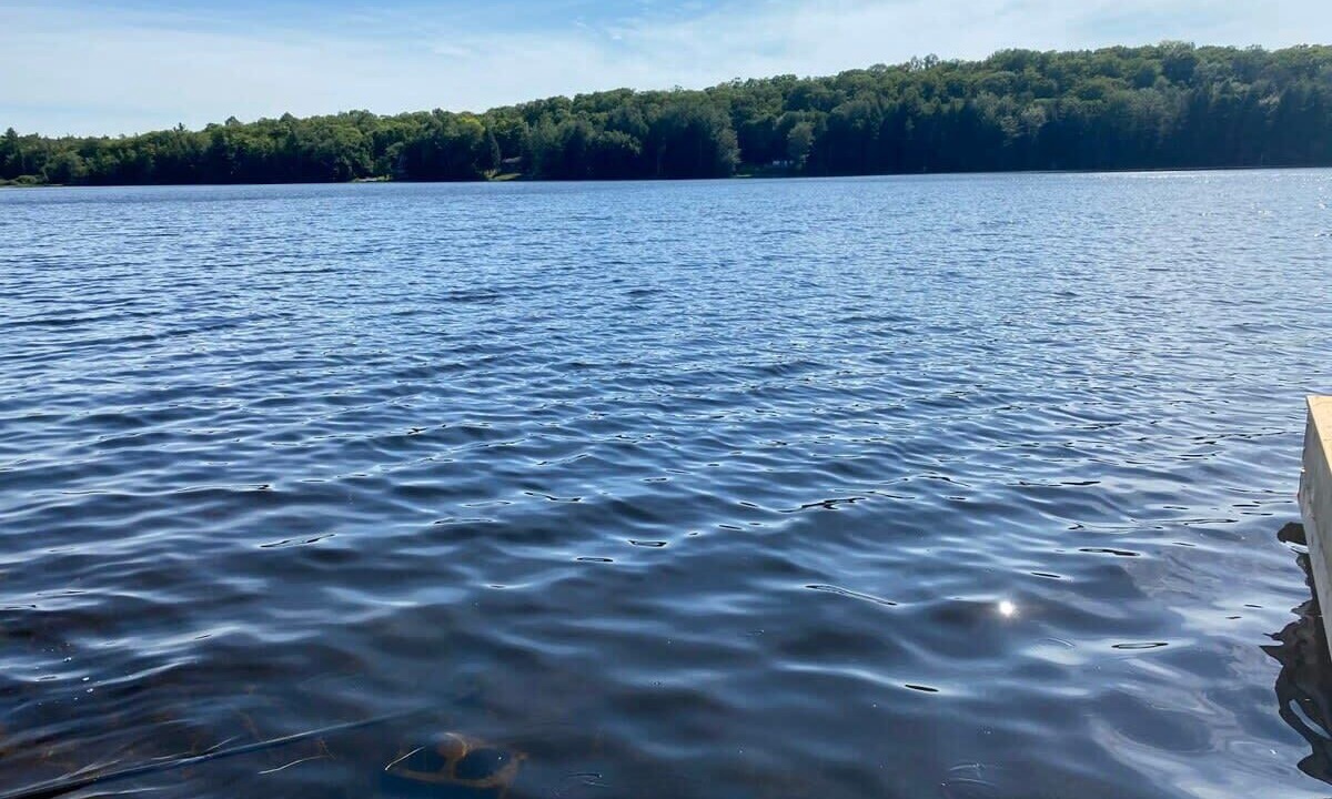 Photo of Others in Port Carling