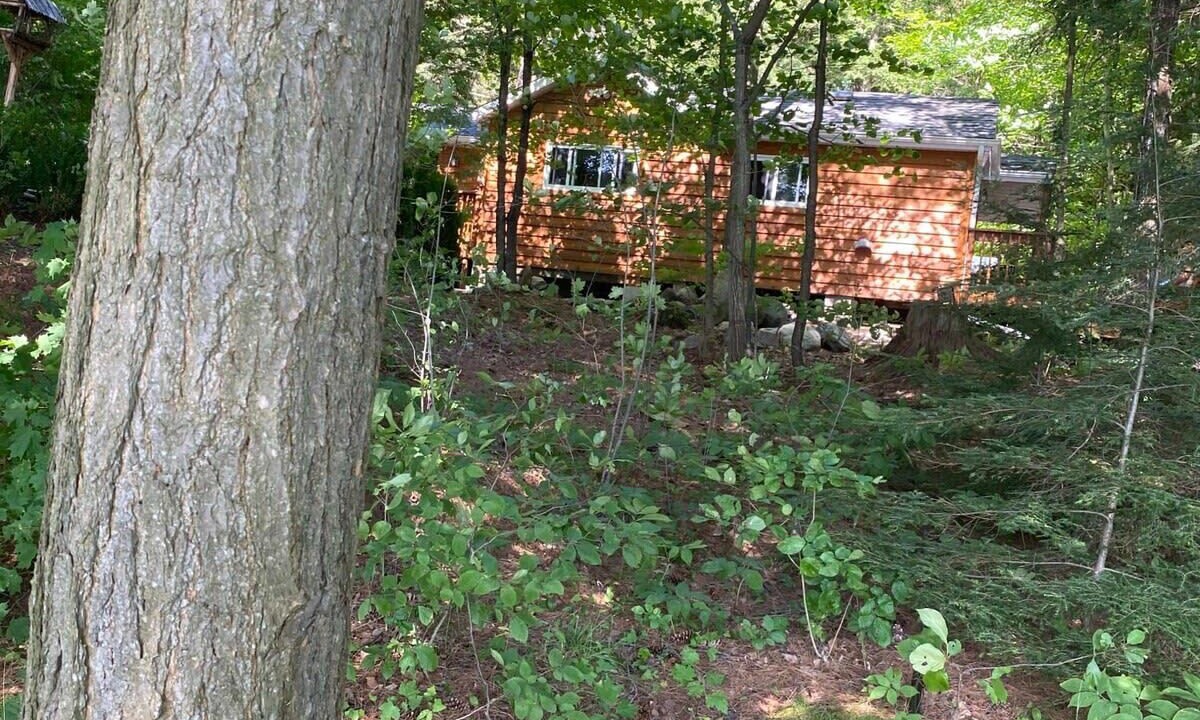 Photo of Outdoor in Port Carling