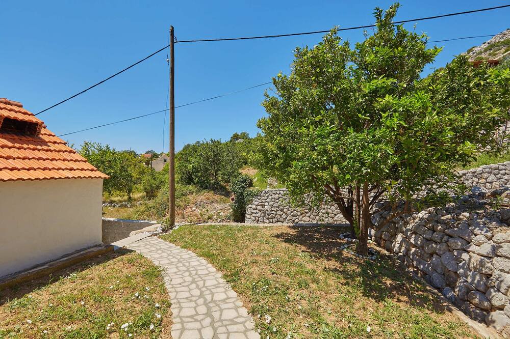 Photo of Outdoor in Trsteno