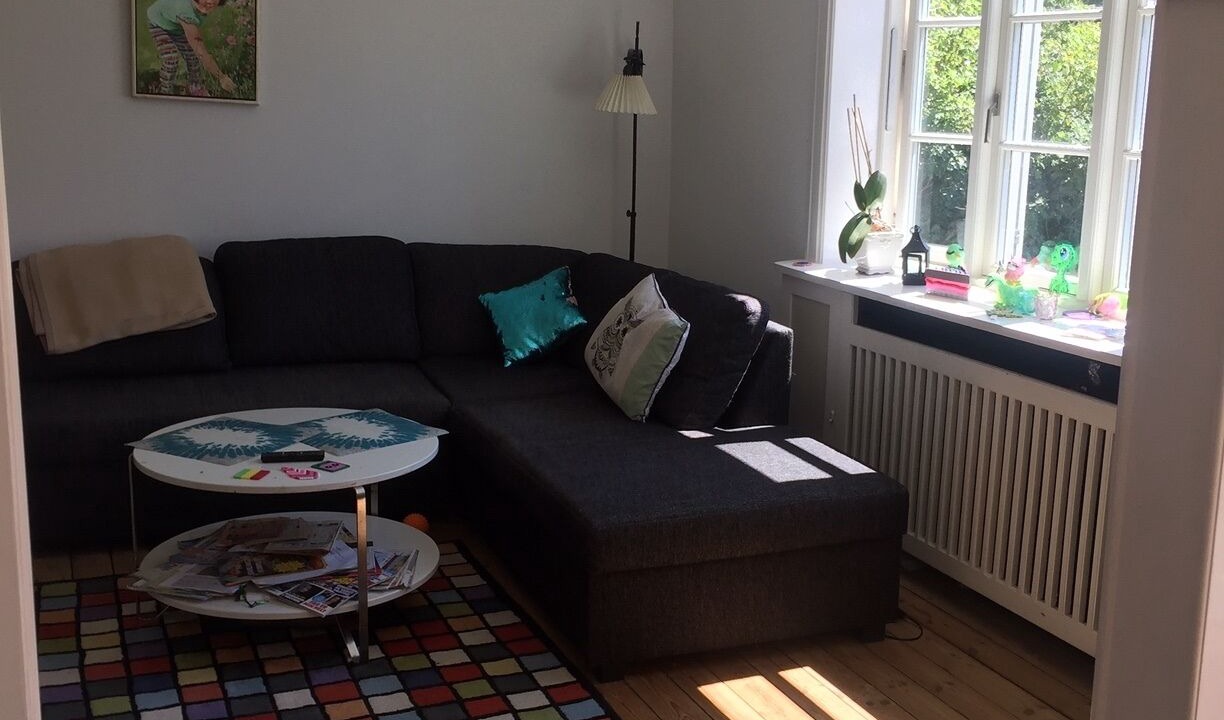 Photo of Livingroom in Amager