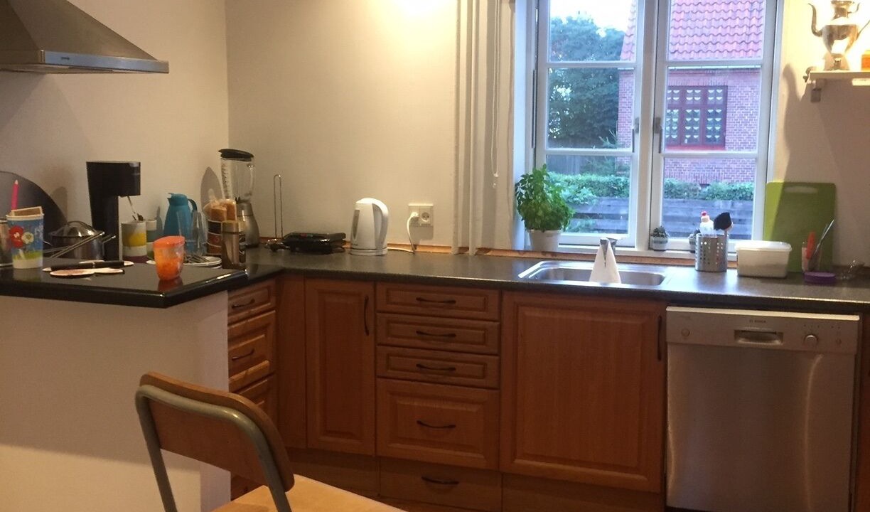 Photo of Kitchen in Amager