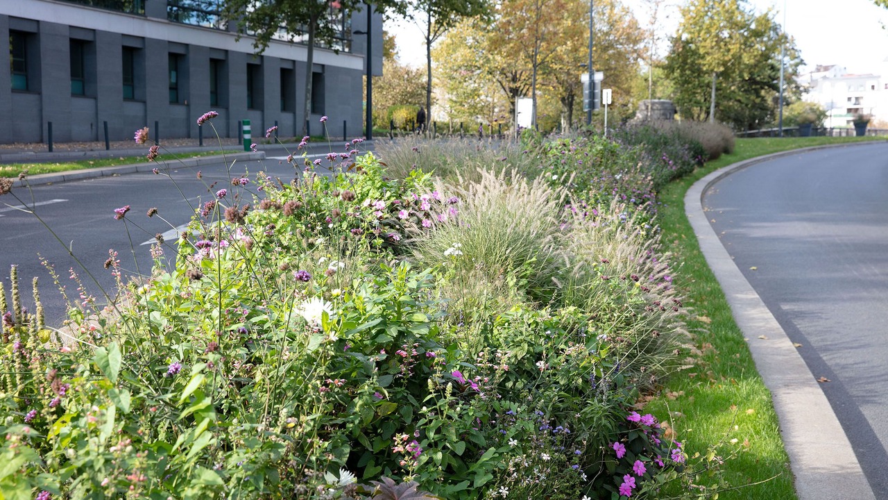 Photo of Outdoor in Maisons-Alfort