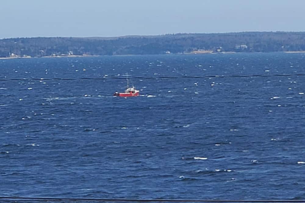 Photo of Others in Queensland