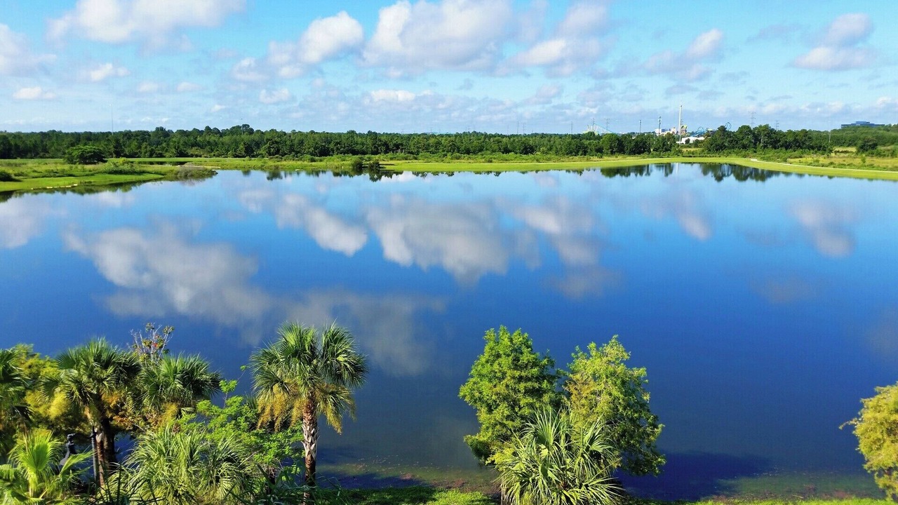 Photo of Others in Florida Central Atlantic Coast