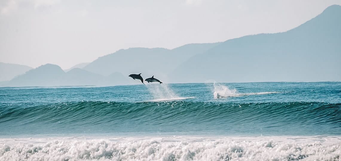 Photo of Others in Te Arai