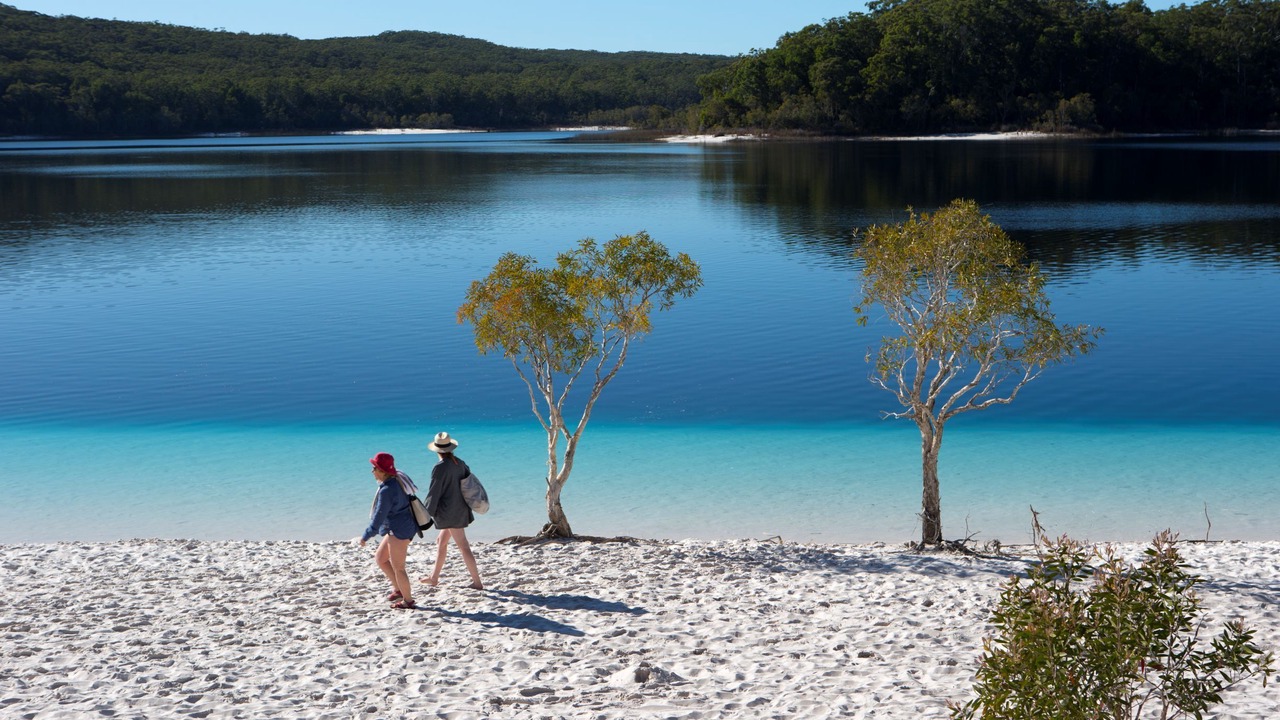 Photo of Others in Scarness