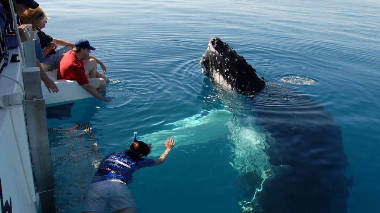 Photo of Others in Scarness