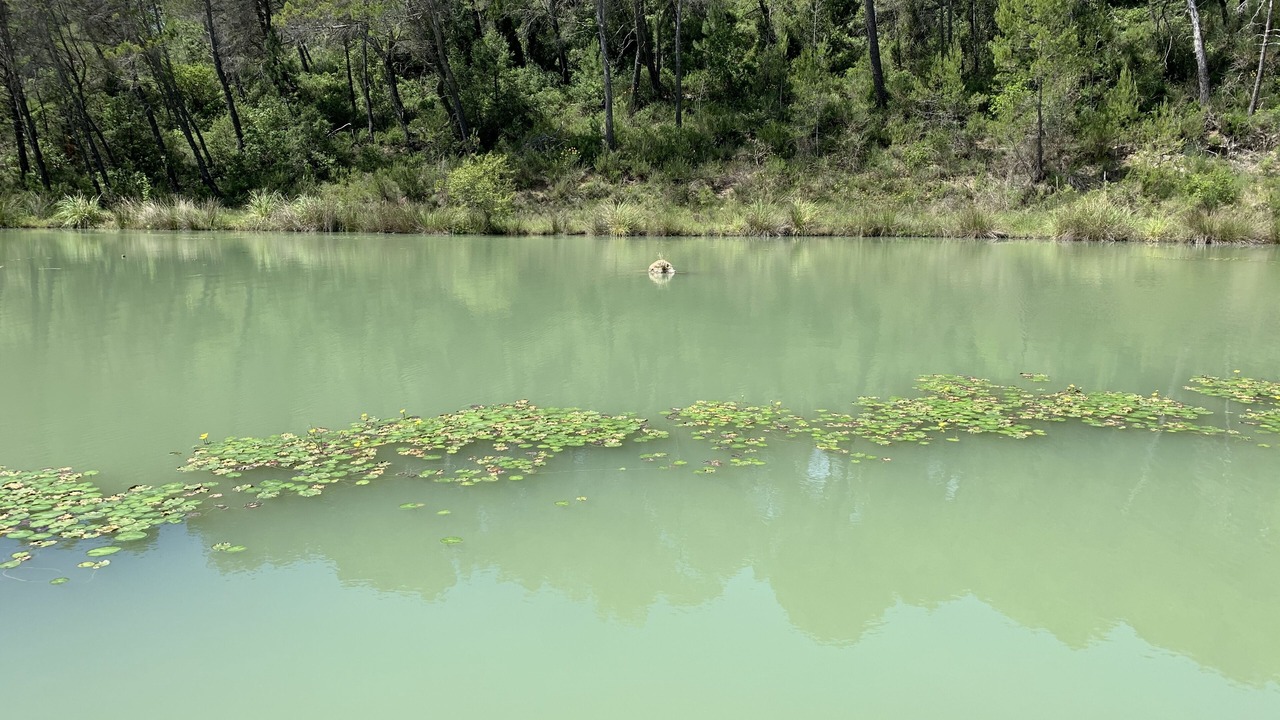 Photo of Outdoor in Flayosc