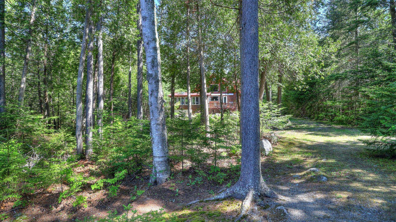 Photo of Outdoor in Rangeley Plantation