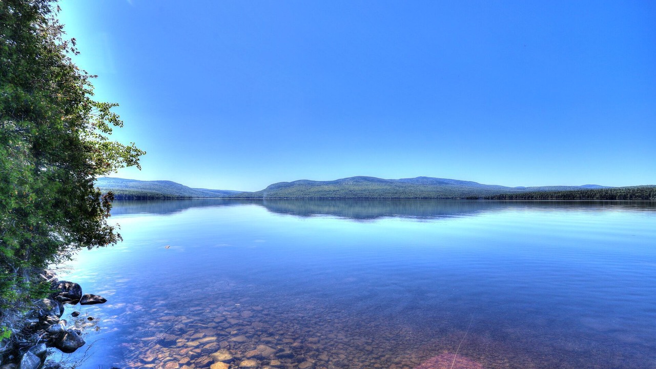 Photo of Others in Rangeley Plantation