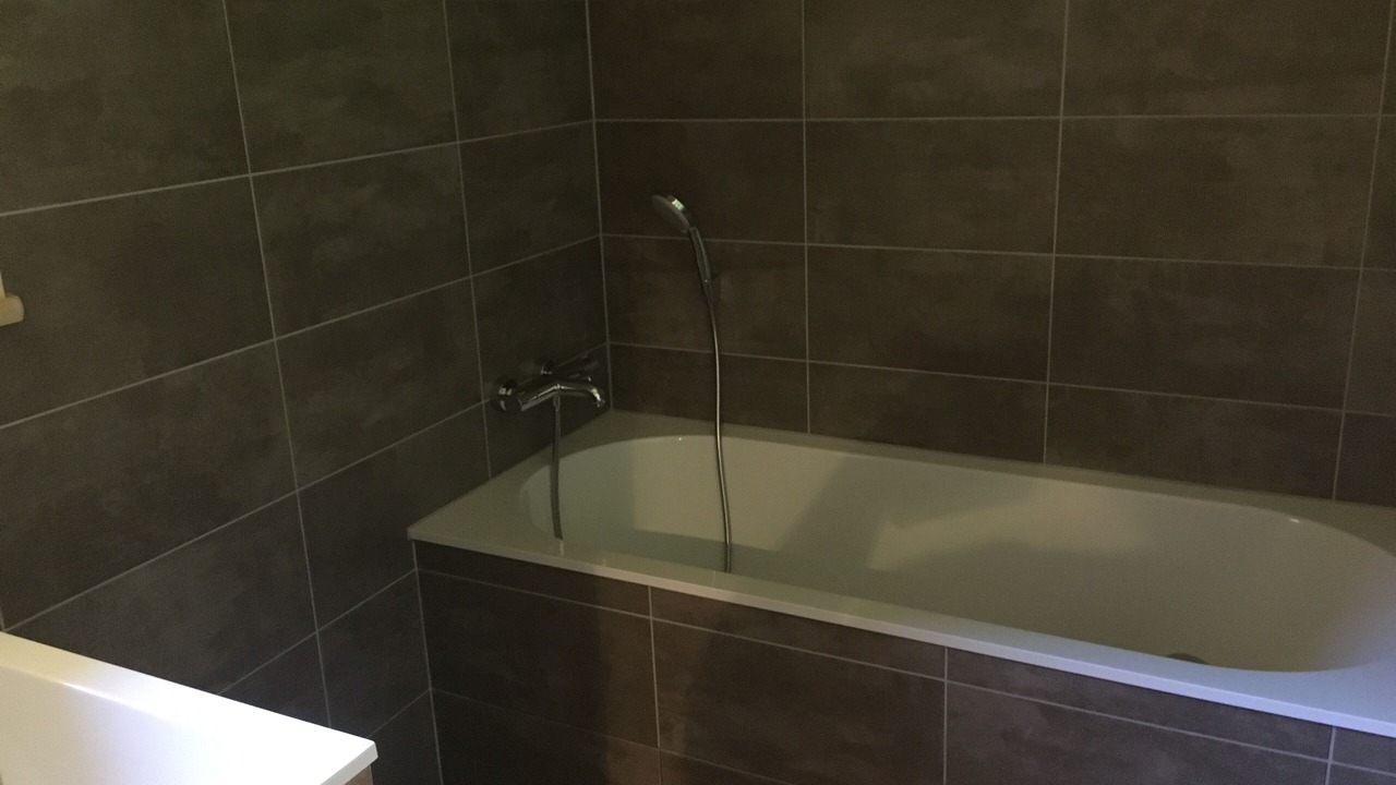 Photo of Others in Vacheresse