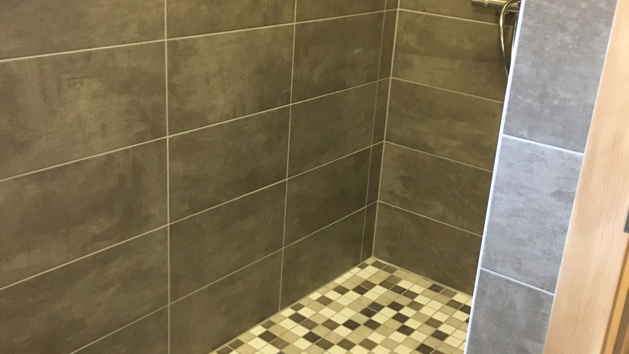 Photo of Others in Vacheresse