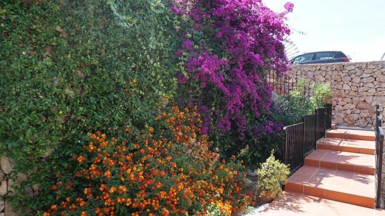 Photo of Outdoor in Monte Pego