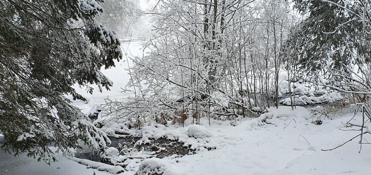 Photo of Others in Wildhaus