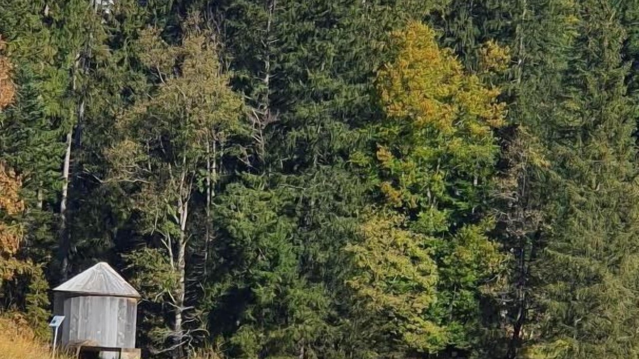 Photo of Others in Wildhaus