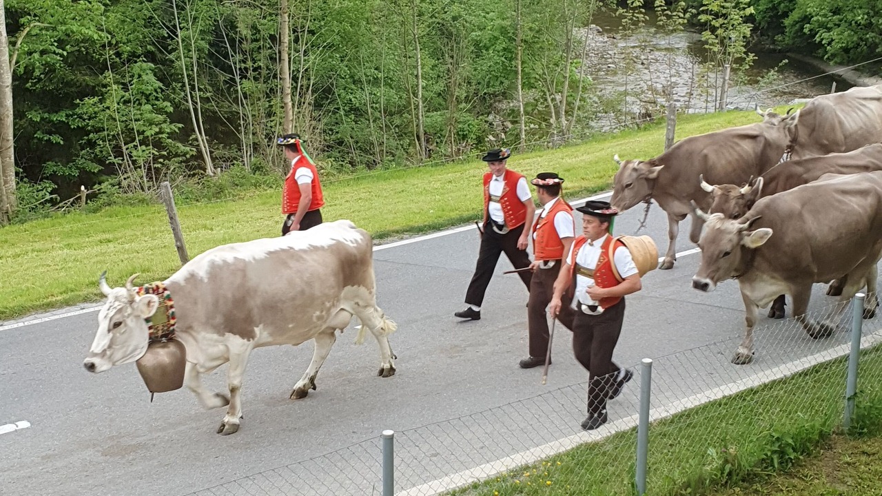 Photo of Others in Wildhaus