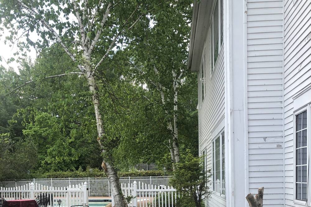 Photo of Others in North Creek