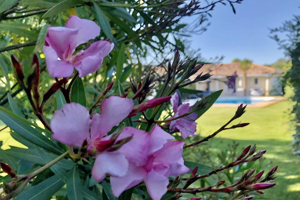 Photo of Outdoor in Sanguinet
