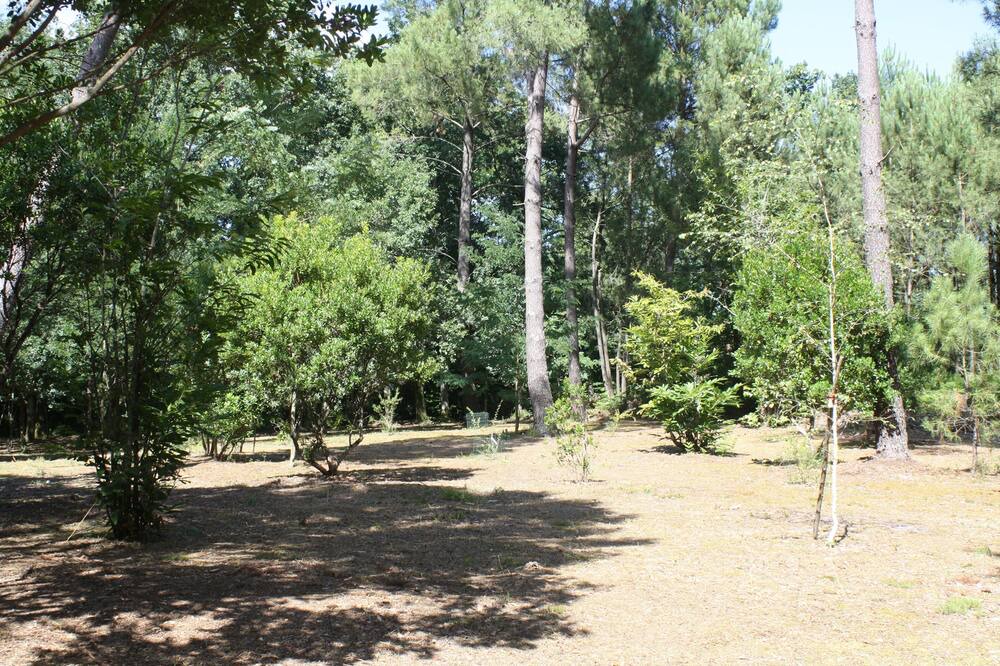 Photo of Outdoor in Augreilh