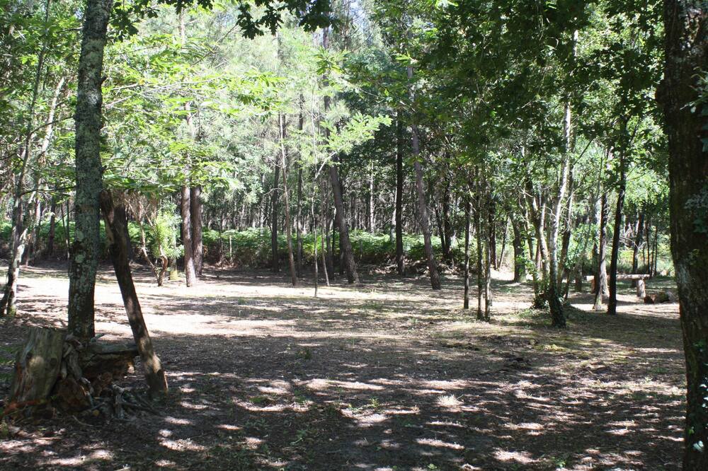 Photo of Outdoor in Augreilh