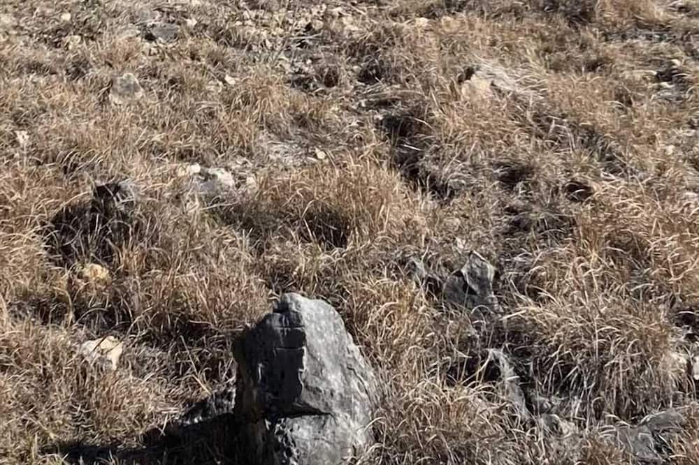 Photo of Others in Tarpley