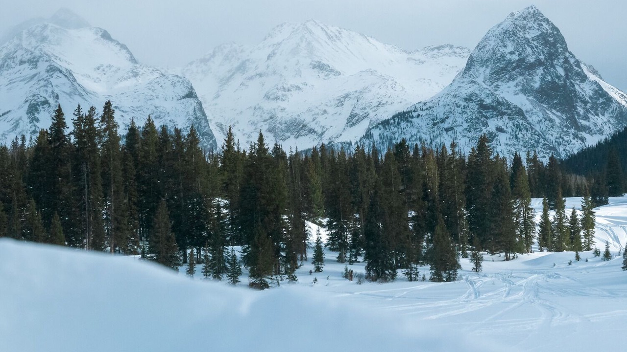 Photo of Others in Silverton