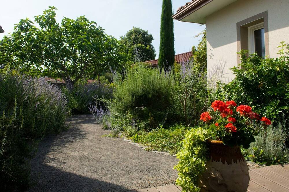 Photo of Outdoor in Savigneux