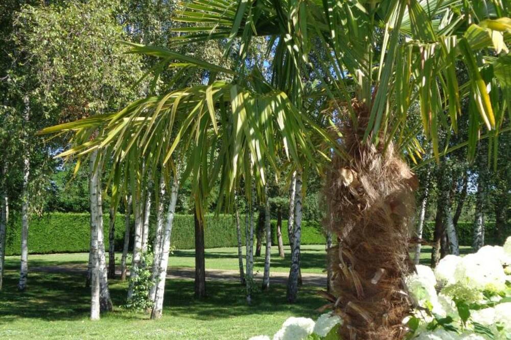 Photo of Outdoor in Savigneux