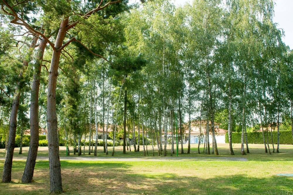 Photo of Outdoor in Savigneux