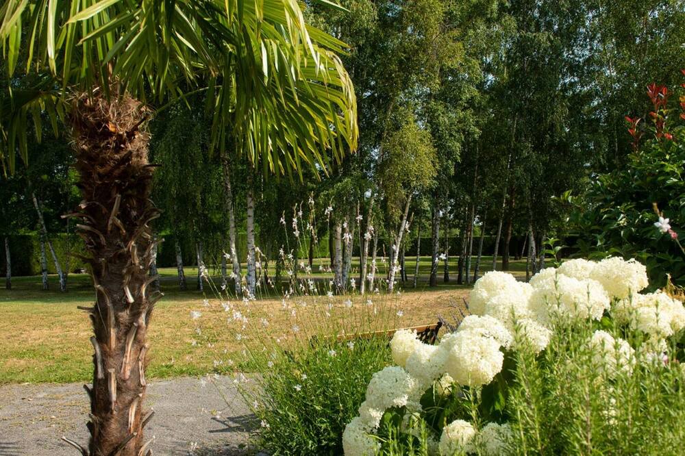 Photo of Outdoor in Savigneux