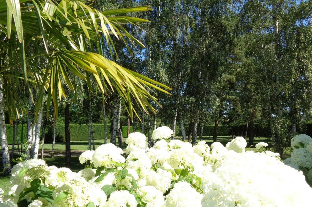 Photo of Outdoor in Savigneux