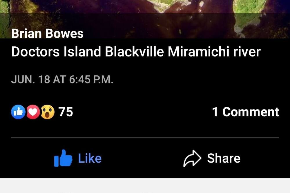 Photo of Others in Blackville