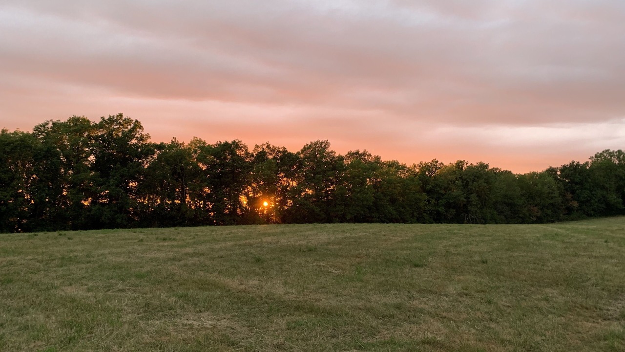 Photo of Others in Beurizot