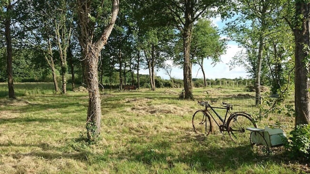 Photo of Outdoor in Pontlevoy