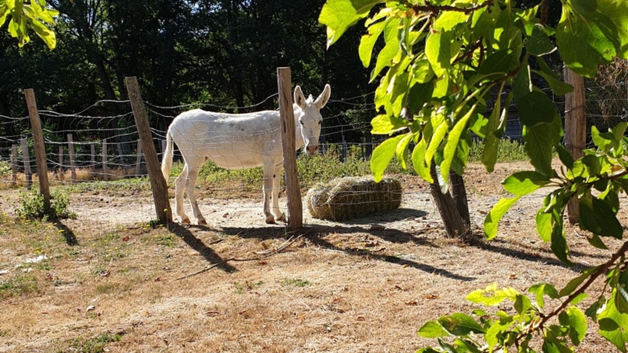 Photo of Outdoor in Gambais