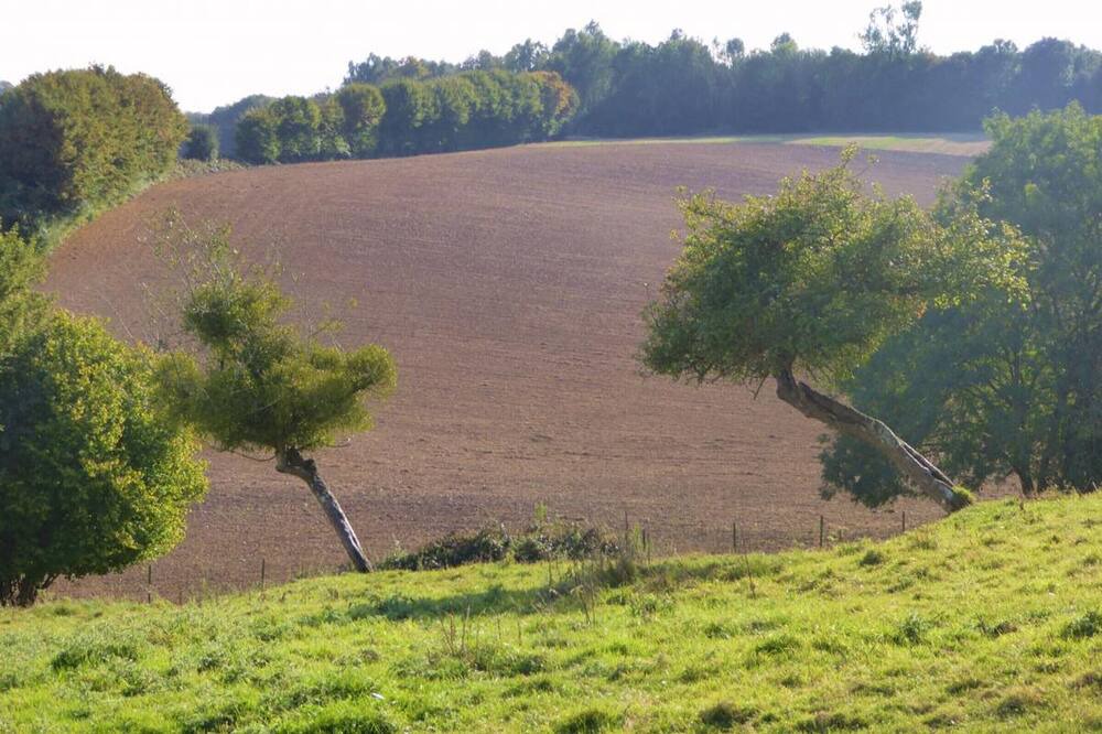 Photo of Outdoor in Campneuseville