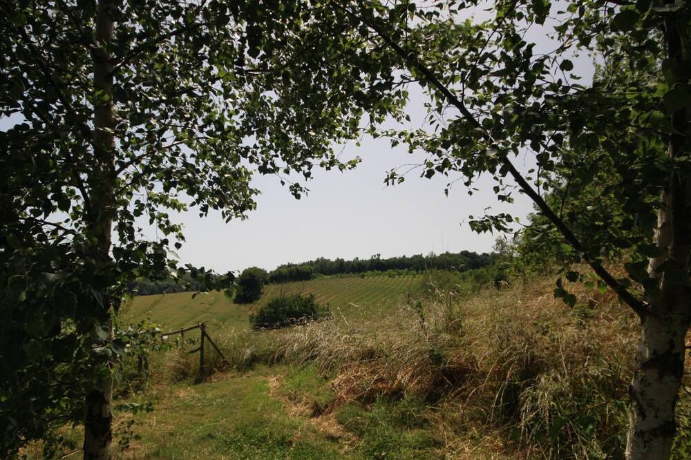 Photo of Outdoor in Campneuseville