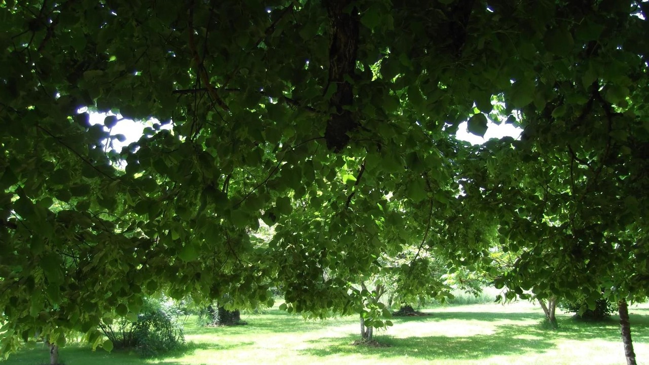 Photo of Outdoor in Vouthon