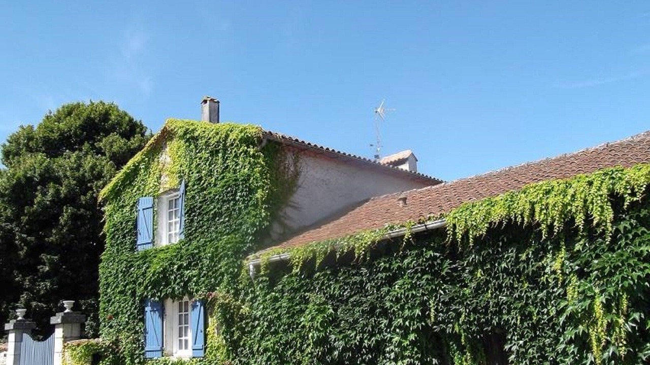 Photo of Outdoor in Vouthon