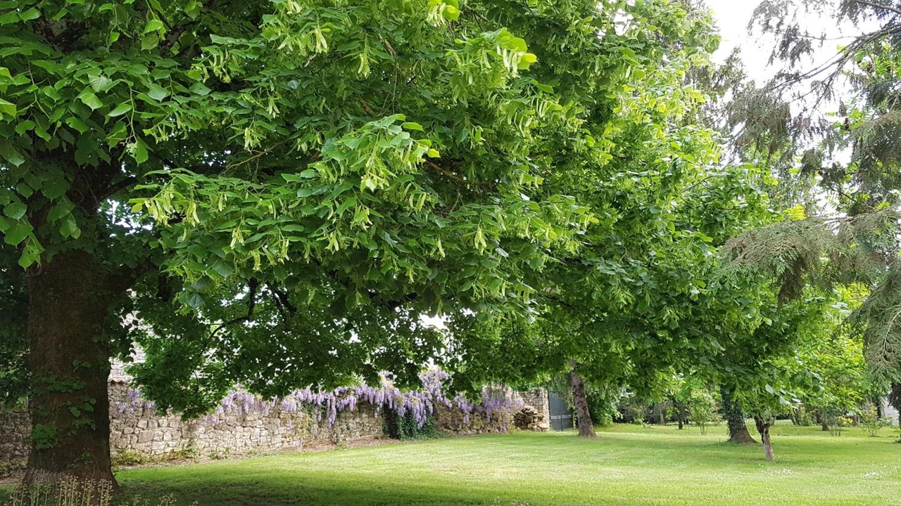 Photo of Outdoor in Vouthon