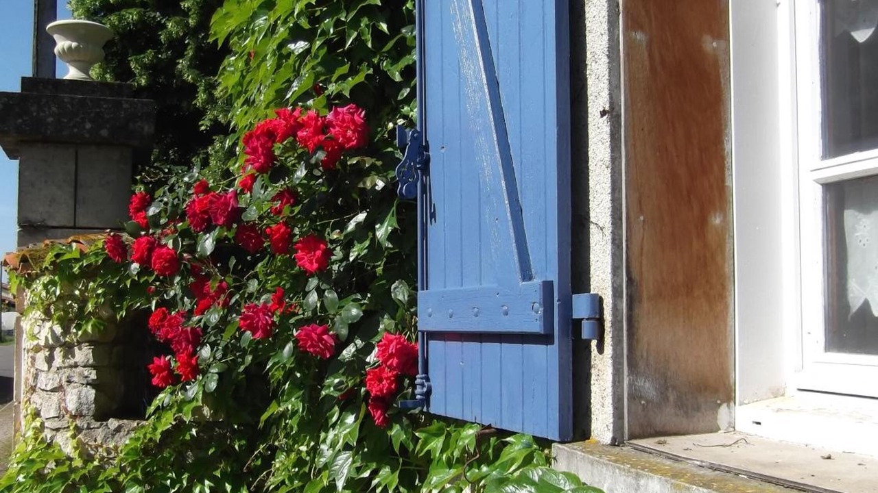 Photo of Outdoor in Vouthon