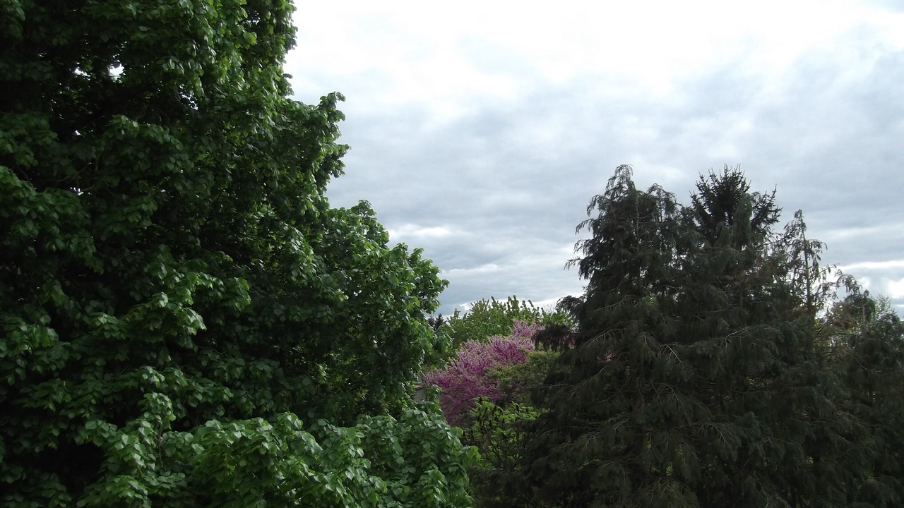 Photo of Outdoor in Vouthon