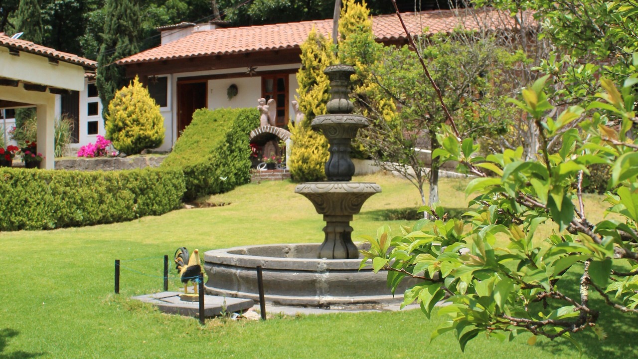 Photo of Outdoor in El Oro