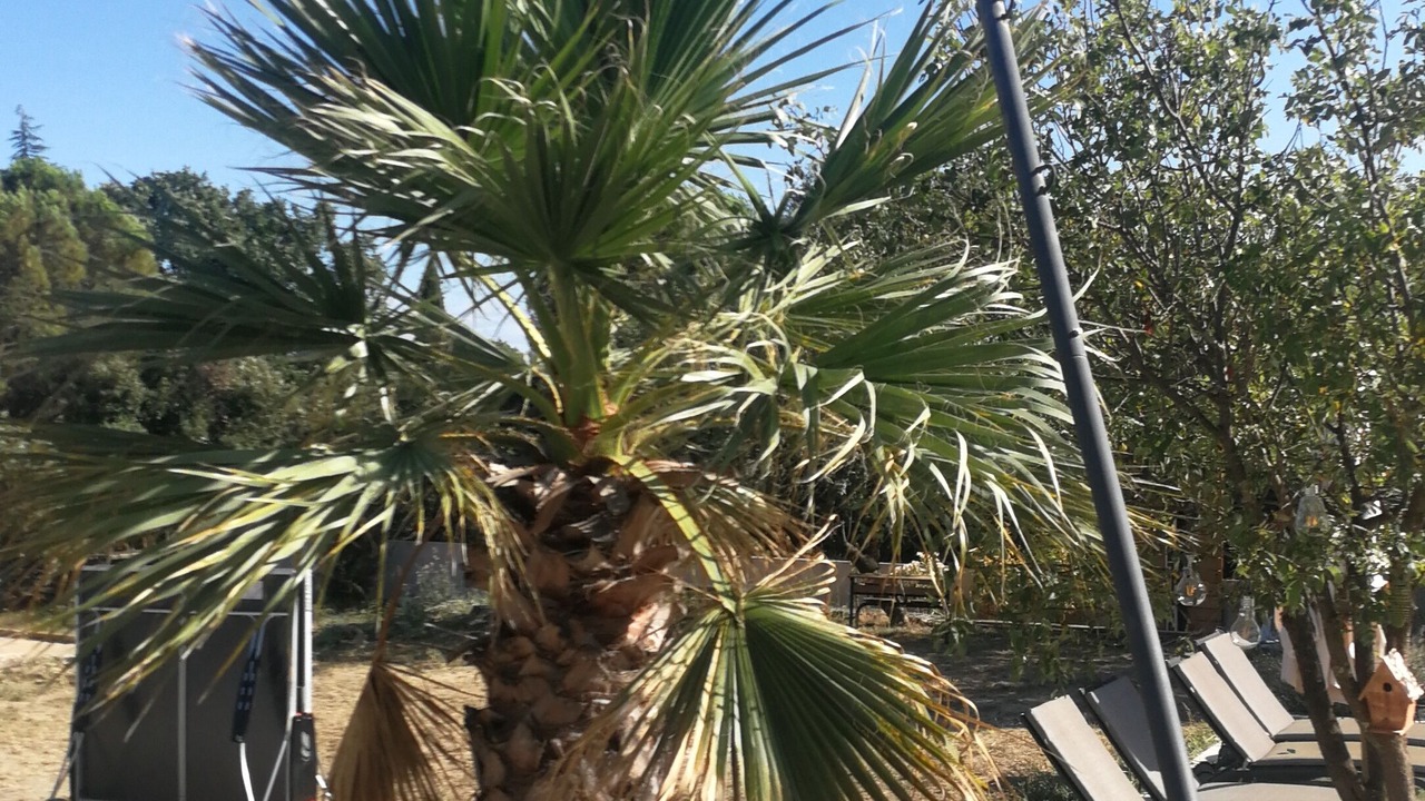 Photo of Outdoor in Cazevieille