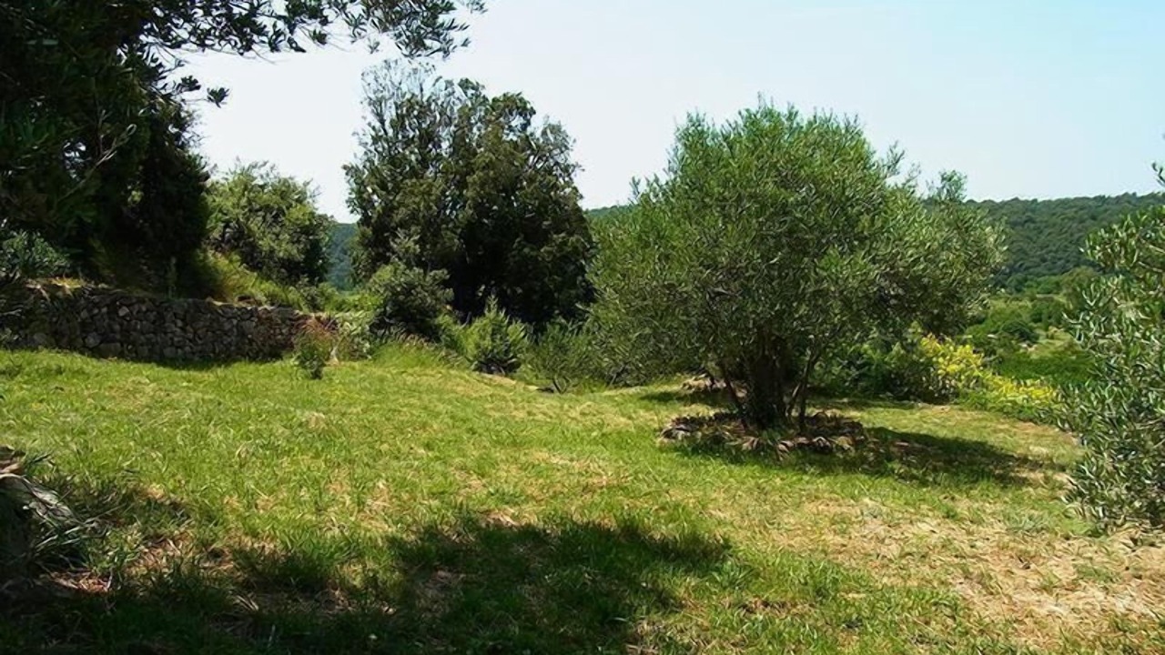 Photo of Outdoor in Kampor
