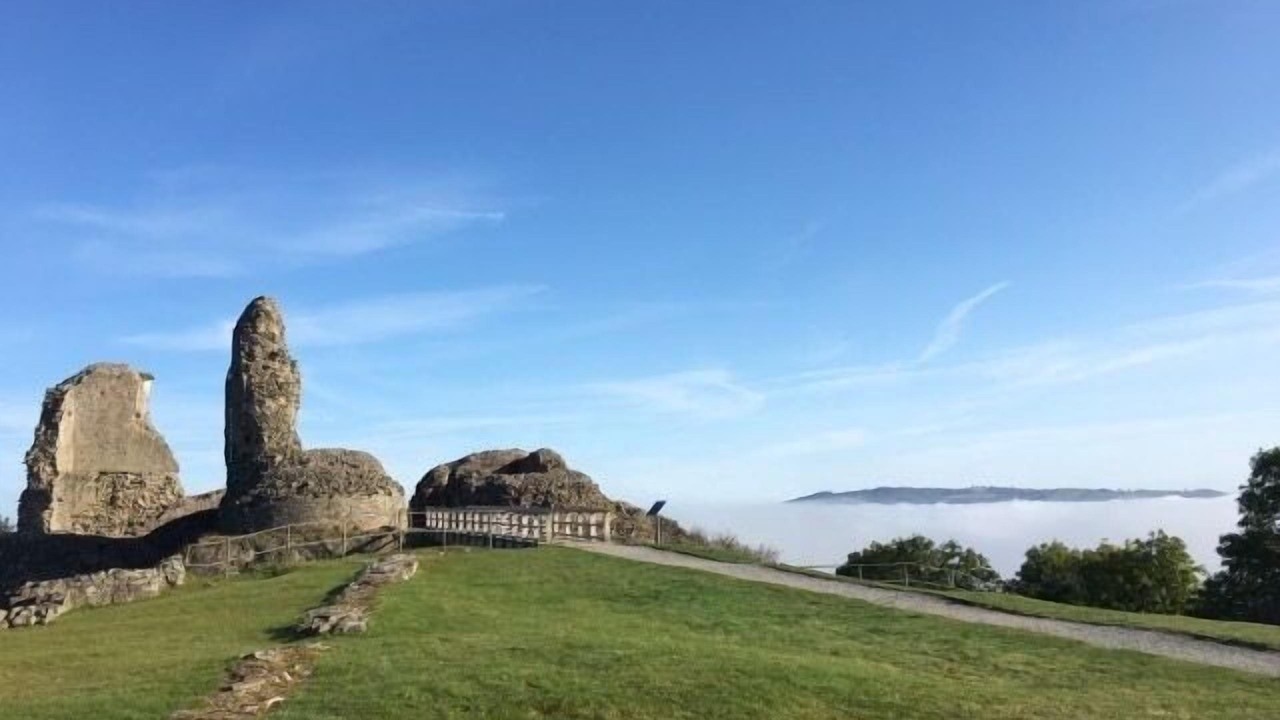 Photo of Others in Montgomery